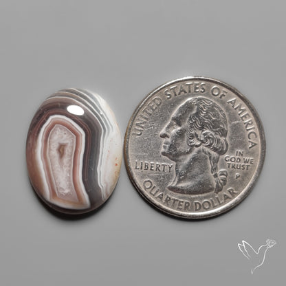 Botswana Agate Cabochon
