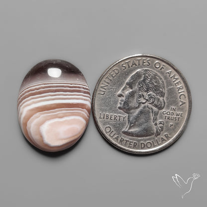 Botswana Agate Cabochon