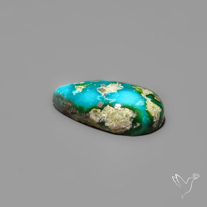 Sonoran Gold Turquoise Cabochon Rare
