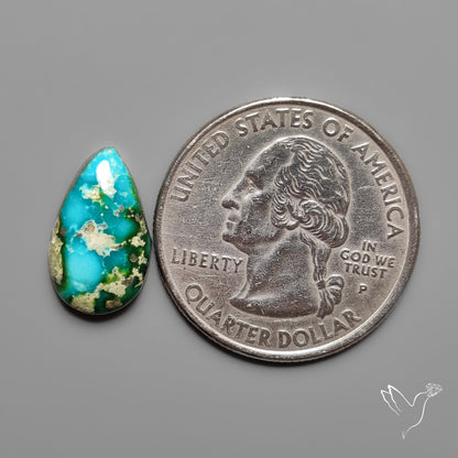 Sonoran Gold Turquoise Cabochon Rare