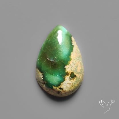 Sonoran Gold Turquoise Cabochon Rare