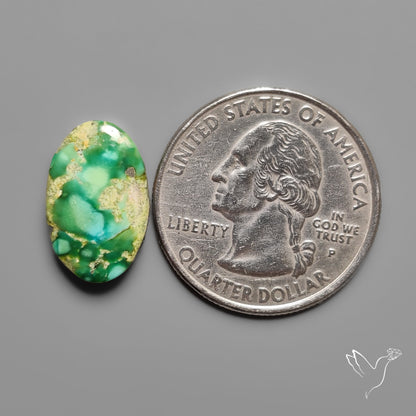 Sonoran Gold Turquoise Cabochon Rare