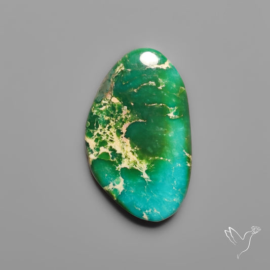 Sonoran Gold Turquoise Cabochon Rare