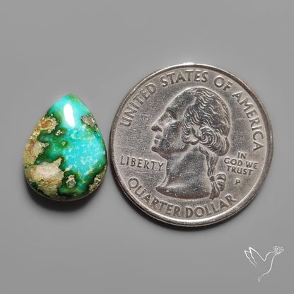 Sonoran Gold Turquoise Cabochon Rare