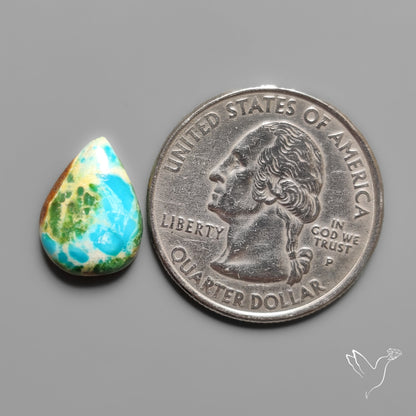 Sonoran Gold Turquoise Cabochon Rare