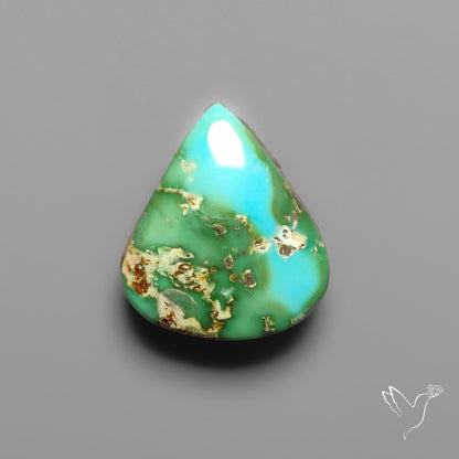 Sonoran Gold Turquoise Cabochon Rare