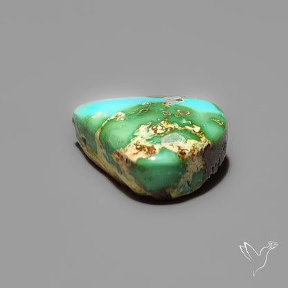 Sonoran Gold Turquoise Cabochon Rare