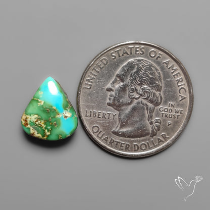 Sonoran Gold Turquoise Cabochon Rare
