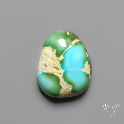 Sonoran Gold Turquoise Cabochon Rare