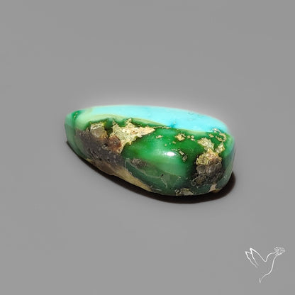 Sonoran Gold Turquoise Cabochon Rare