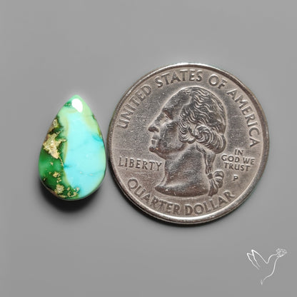Sonoran Gold Turquoise Cabochon Rare
