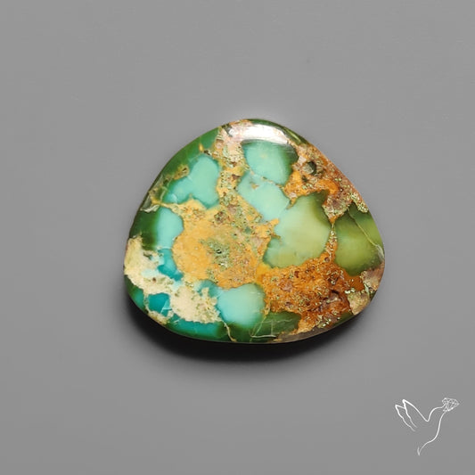 Sonoran Gold Turquoise Cabochon Rare