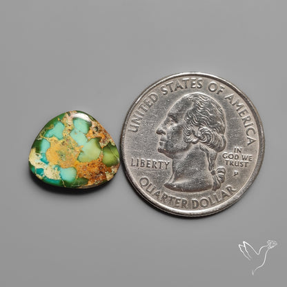 Sonoran Gold Turquoise Cabochon Rare