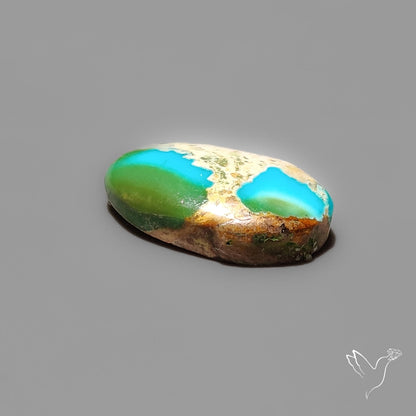 Sonoran Gold Turquoise Cabochon Rare