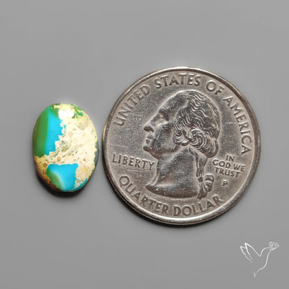 Sonoran Gold Turquoise Cabochon Rare