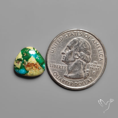 Sonoran Gold Turquoise Cabochon Rare