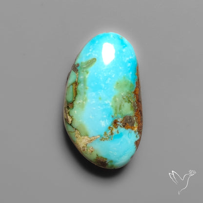 Sonoran Gold Turquoise Cabochon Rare