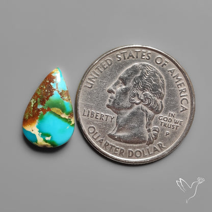 Sonoran Gold Turquoise Cabochon Rare