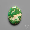 Sonoran Gold Turquoise Cabochon Rare