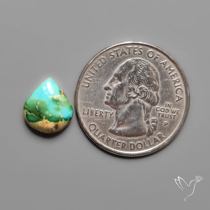 Sonoran Gold Turquoise Cabochon Rare