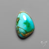 Sonoran Gold Turquoise Cabochon Rare