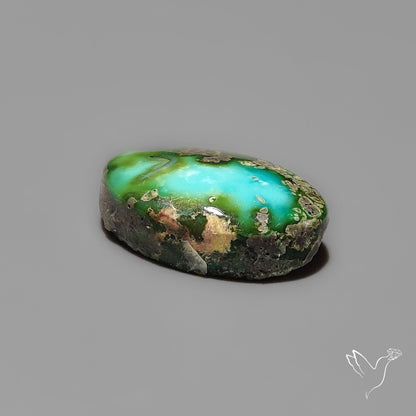 Sonoran Gold Turquoise Cabochon Rare