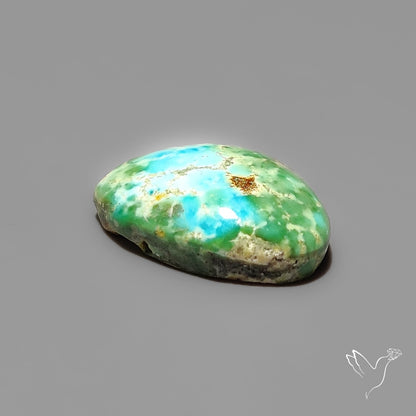 Sonoran Gold Turquoise Cabochon Rare