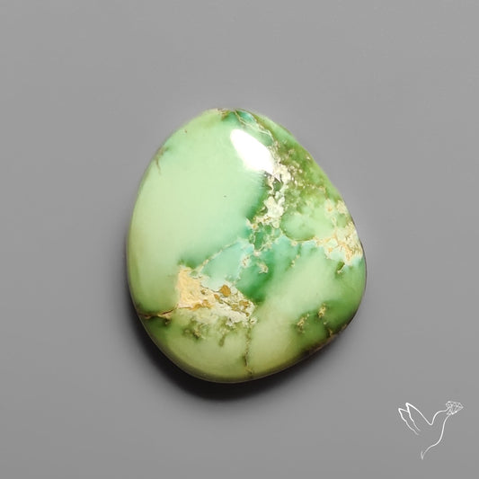 Sonoran Gold Turquoise Cabochon Rare