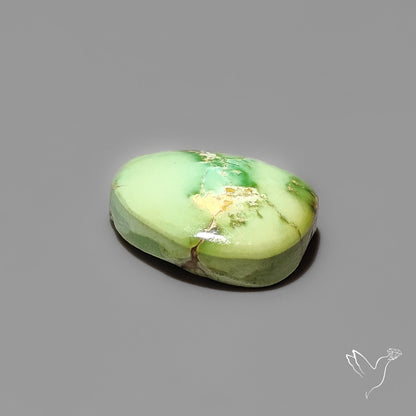 Sonoran Gold Turquoise Cabochon Rare