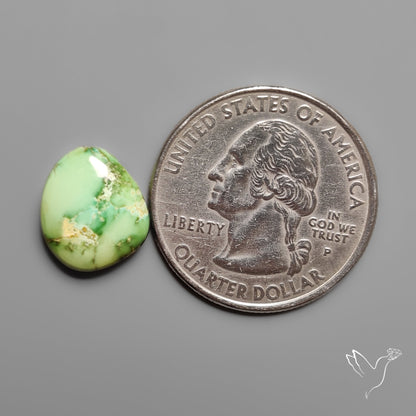 Sonoran Gold Turquoise Cabochon Rare