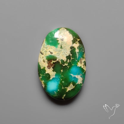 Sonoran Gold Turquoise Cabochon Rare