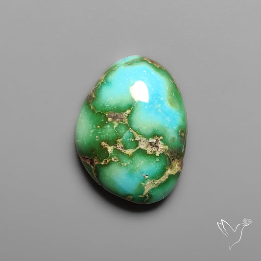 Sonoran Gold Turquoise Cabochon Rare