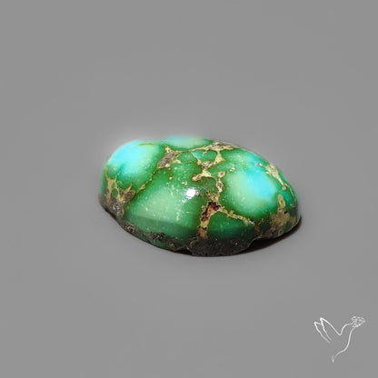 Sonoran Gold Turquoise Cabochon Rare