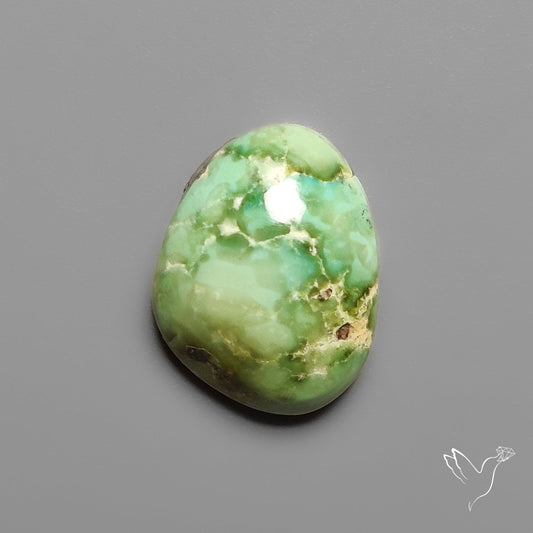 Sonoran Gold Turquoise Cabochon Rare