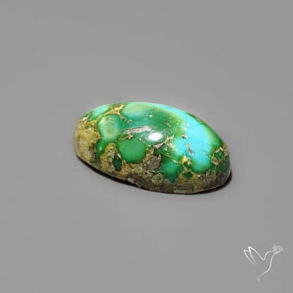 Sonoran Gold Turquoise Cabochon Rare
