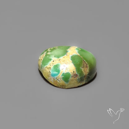 Sonoran Gold Turquoise Cabochon Rare