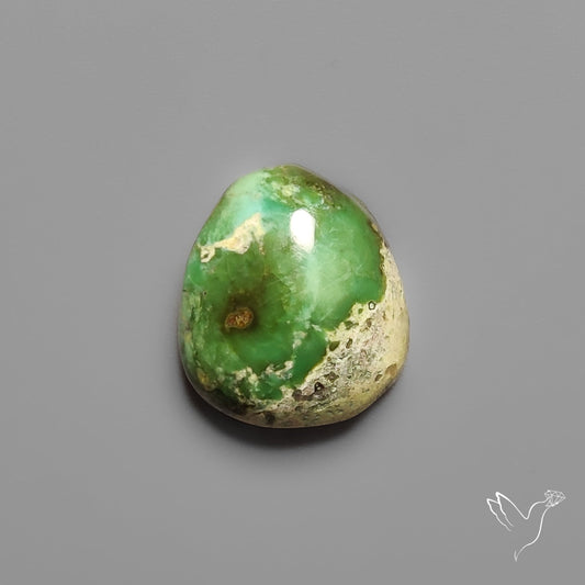 Sonoran Gold Turquoise Cabochon Rare