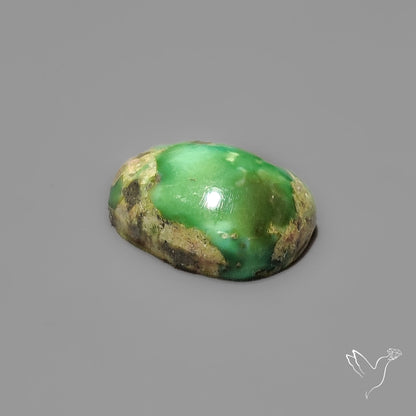 Sonoran Gold Turquoise Cabochon Rare