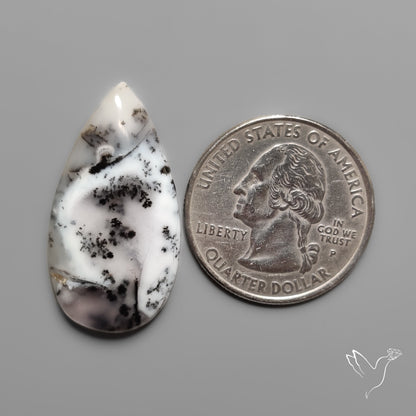 Dendritic Agate Cabochon