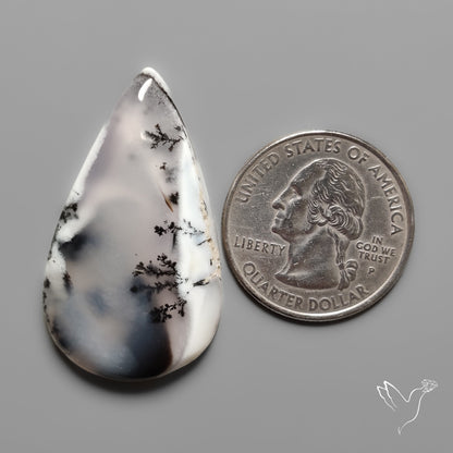 Dendritic Agate Cabochon