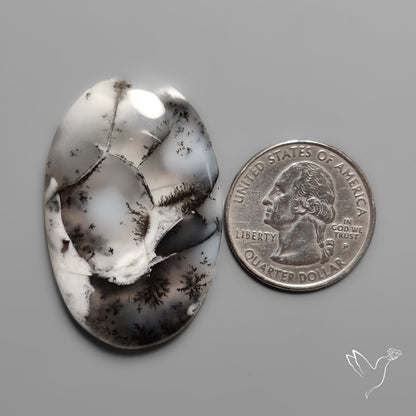 Dendritic Agate Cabochon