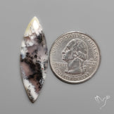 Dendritic Agate Cabochon