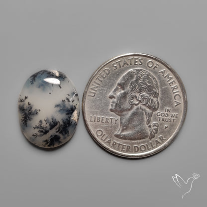 Dendritic Agate Cabochon
