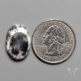 Dendritic Agate Cabochon