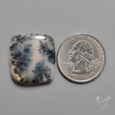 Dendritic Agate Cabochon