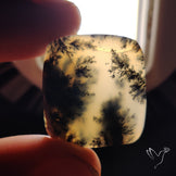 Dendritic Agate Cabochon