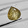 Golden Rutilated Quartz Faceted