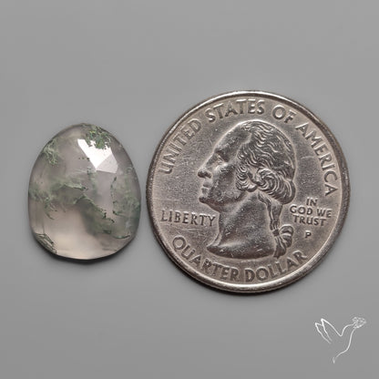 Rose Cut White Horse Canyon Moss Agate