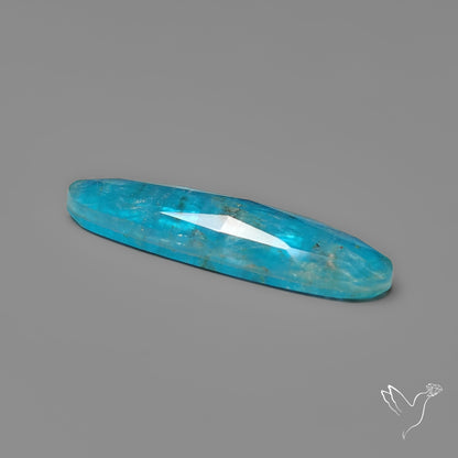 Rose Cut Crystal & Neon Apatite Doublet