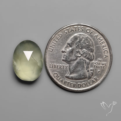 Rose Cut Prehnite